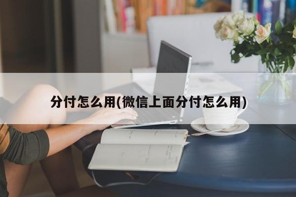 分付怎么用(微信上面分付怎么用)