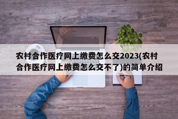 农村合作医疗网上缴费怎么交2023(农村合作医疗网上缴费怎么交不了)的简单介绍