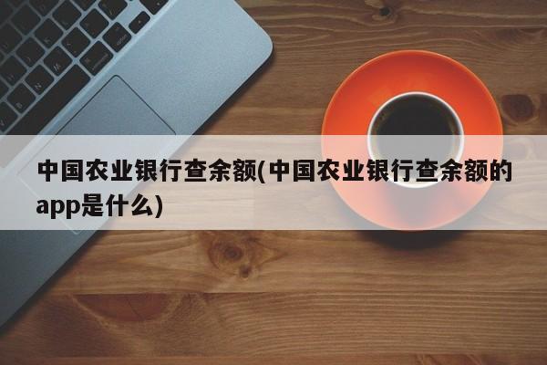 中国农业银行查余额(中国农业银行查余额的app是什么)