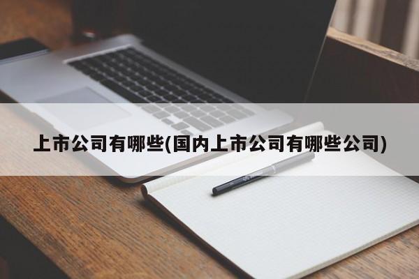 上市公司有哪些(国内上市公司有哪些公司)