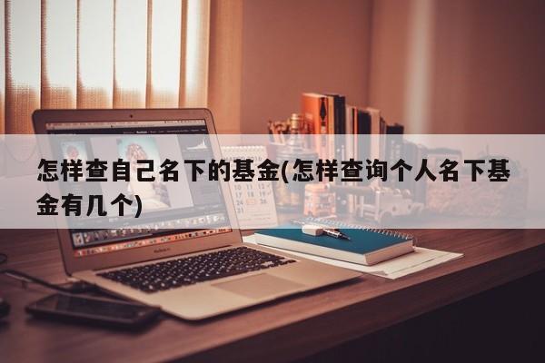 怎样查自己名下的基金(怎样查询个人名下基金有几个)