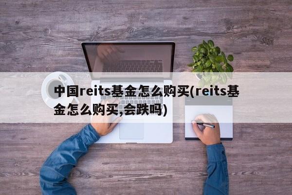 中国reits基金怎么购买(reits基金怎么购买,会跌吗)