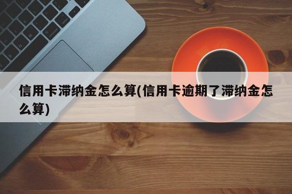 信用卡滞纳金怎么算(信用卡逾期了滞纳金怎么算)