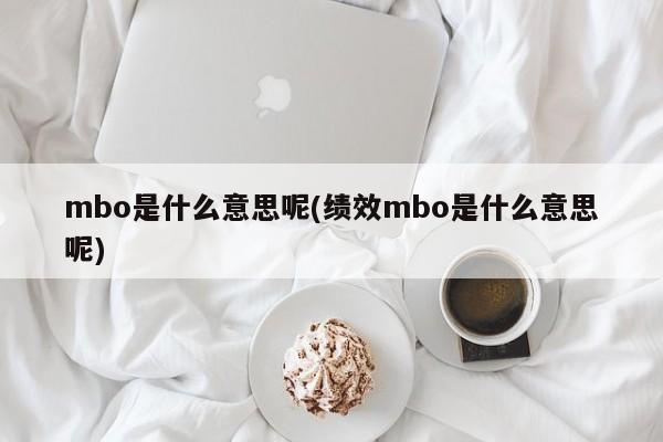 mbo是什么意思呢(绩效mbo是什么意思呢)