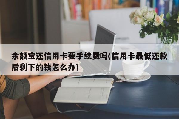 余额宝还信用卡要手续费吗(信用卡最低还款后剩下的钱怎么办)