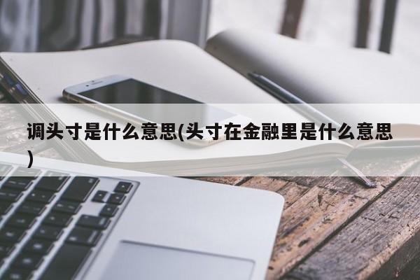 调头寸是什么意思(头寸在金融里是什么意思)