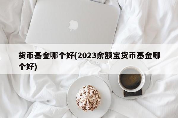 货币基金哪个好(2023余额宝货币基金哪个好)