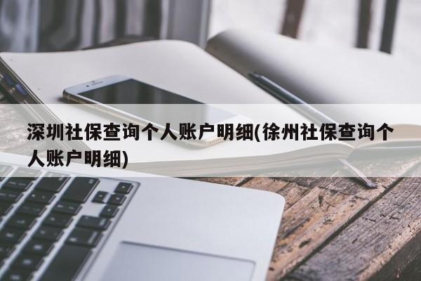 深圳社保查询个人账户明细(徐州社保查询个人账户明细)