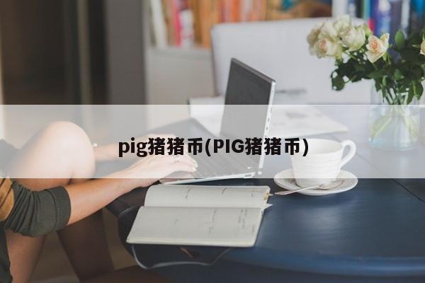 pig猪猪币(PIG猪猪币)