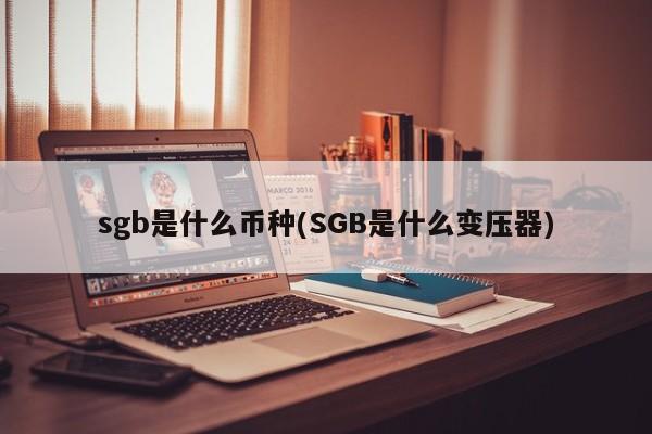 sgb是什么币种(SGB是什么变压器)