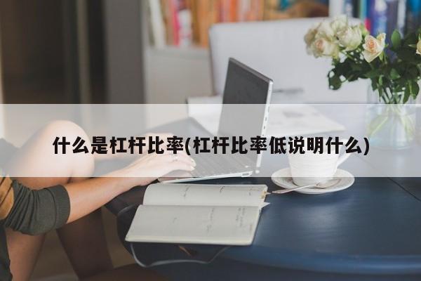 什么是杠杆比率(杠杆比率低说明什么)