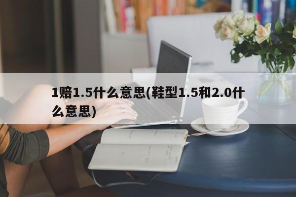 1赔1.5什么意思(鞋型1.5和2.0什么意思)