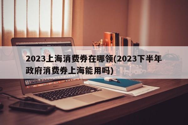 2023上海消费券在哪领(2023下半年政府消费券上海能用吗)