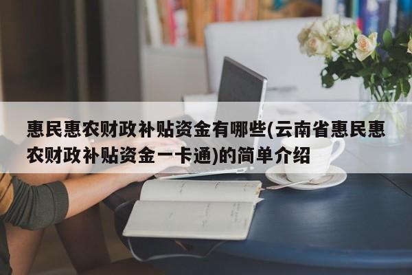 惠民惠农财政补贴资金有哪些(云南省惠民惠农财政补贴资金一卡通)的简单介绍