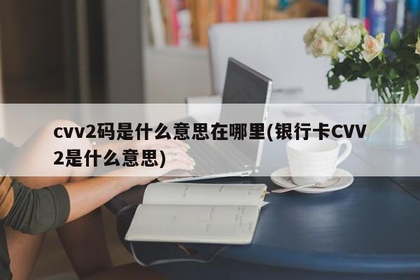 cvv2码是什么意思在哪里(银行卡CVV2是什么意思)