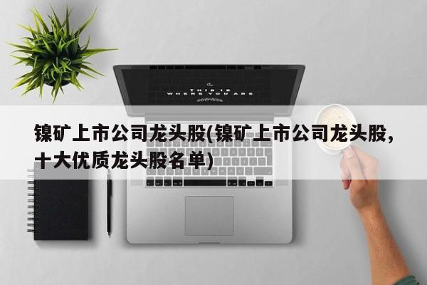 镍矿上市公司龙头股(镍矿上市公司龙头股,十大优质龙头股名单)