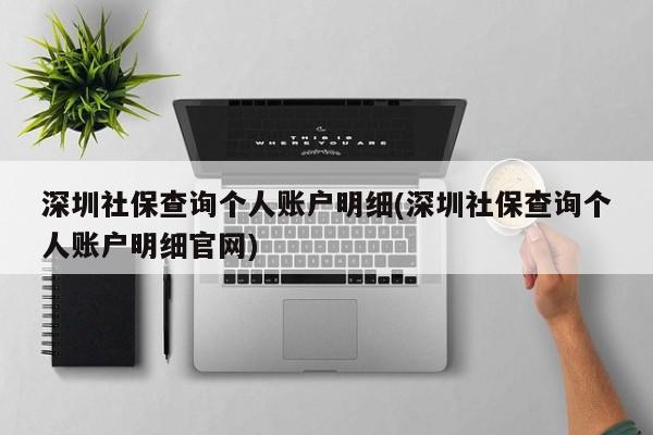 深圳社保查询个人账户明细(深圳社保查询个人账户明细官网)