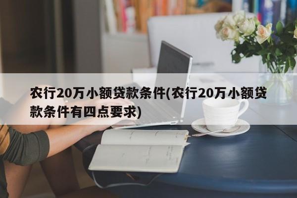 农行20万小额贷款条件(农行20万小额贷款条件有四点要求)