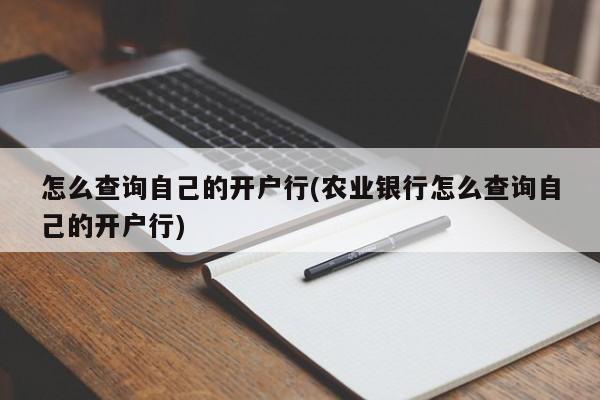 怎么查询自己的开户行(农业银行怎么查询自己的开户行)