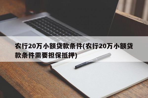 农行20万小额贷款条件(农行20万小额贷款条件需要担保抵押)