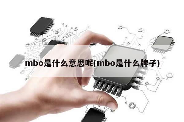 mbo是什么意思呢(mbo是什么牌子)