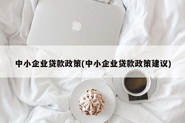 中小企业贷款政策(中小企业贷款政策建议)