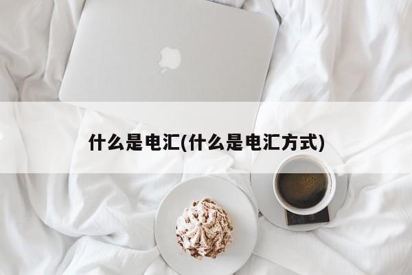 什么是电汇(什么是电汇方式)