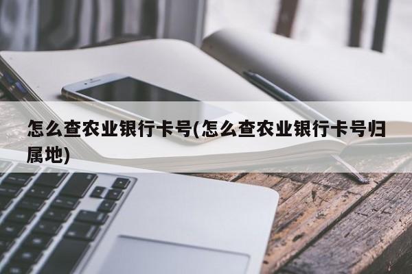 怎么查农业银行卡号(怎么查农业银行卡号归属地)