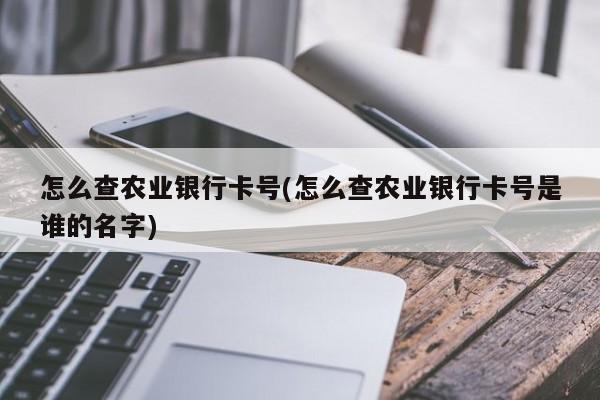 怎么查农业银行卡号(怎么查农业银行卡号是谁的名字)