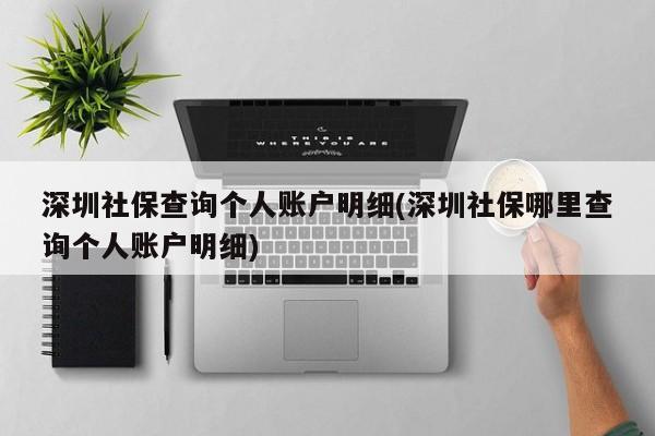 深圳社保查询个人账户明细(深圳社保哪里查询个人账户明细)