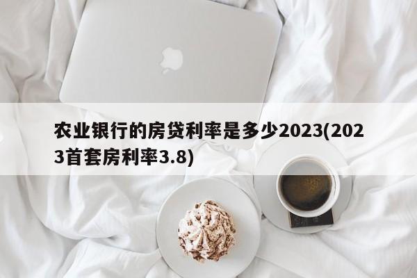 农业银行的房贷利率是多少2023(2023首套房利率3.8)