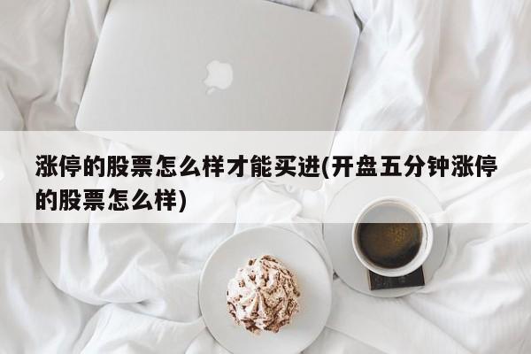 涨停的股票怎么样才能买进(开盘五分钟涨停的股票怎么样)