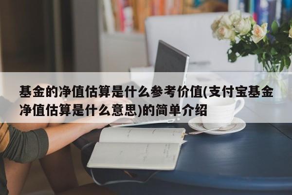 基金的净值估算是什么参考价值(支付宝基金净值估算是什么意思)的简单介绍