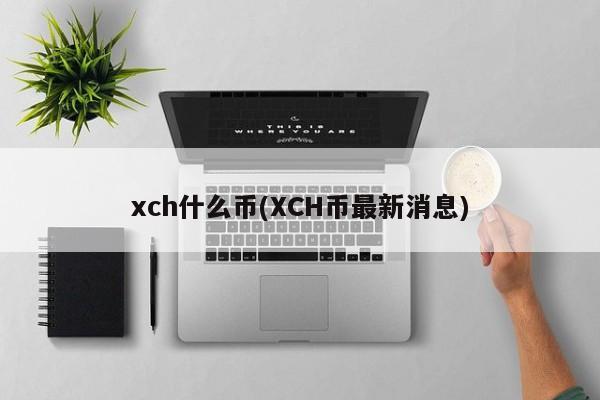 xch什么币(XCH币最新消息)