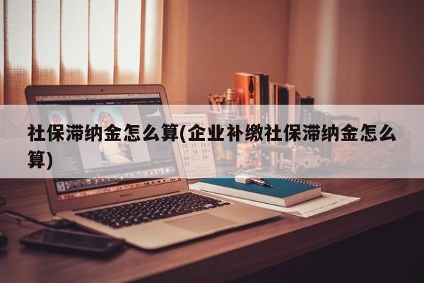 社保滞纳金怎么算(企业补缴社保滞纳金怎么算)