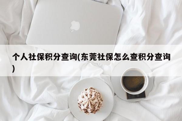 个人社保积分查询(东莞社保怎么查积分查询)