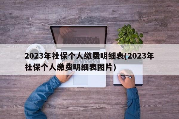 2023年社保个人缴费明细表(2023年社保个人缴费明细表图片)