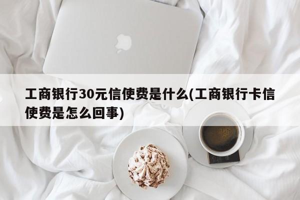 工商银行30元信使费是什么(工商银行卡信使费是怎么回事)