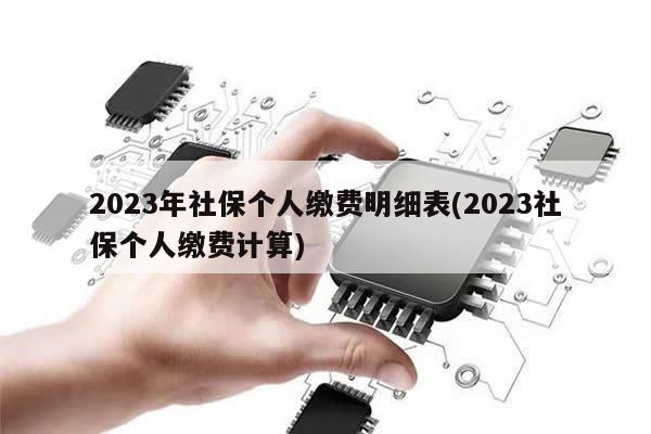 2023年社保个人缴费明细表(2023社保个人缴费计算)