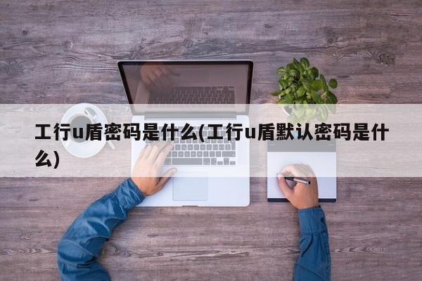 工行u盾密码是什么(工行u盾默认密码是什么)