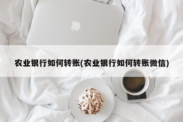 农业银行如何转账(农业银行如何转账微信)