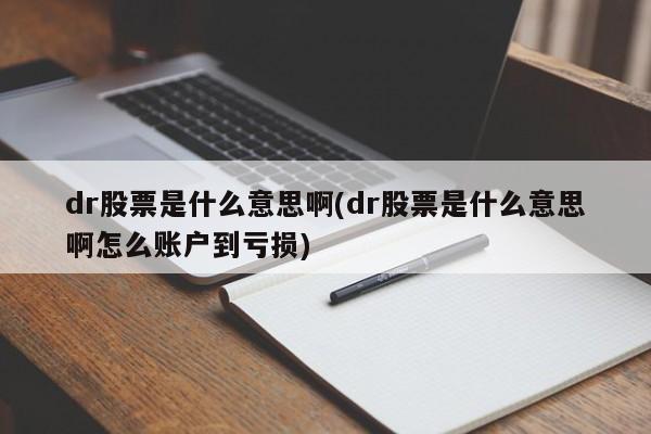 dr股票是什么意思啊(dr股票是什么意思啊怎么账户到亏损)