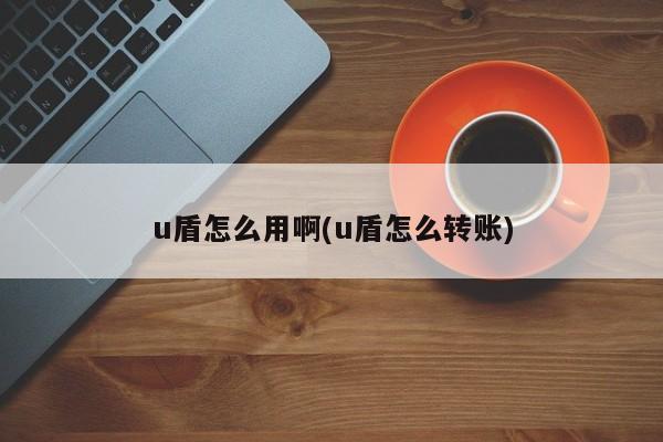 u盾怎么用啊(u盾怎么转账)