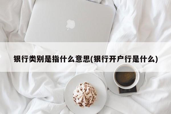 银行类别是指什么意思(银行开户行是什么)