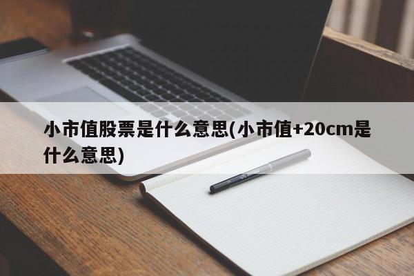 小市值股票是什么意思(小市值+20cm是什么意思)