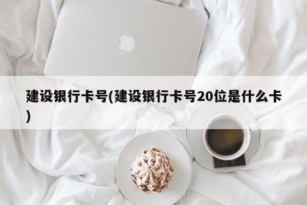 建设银行卡号(建设银行卡号20位是什么卡)