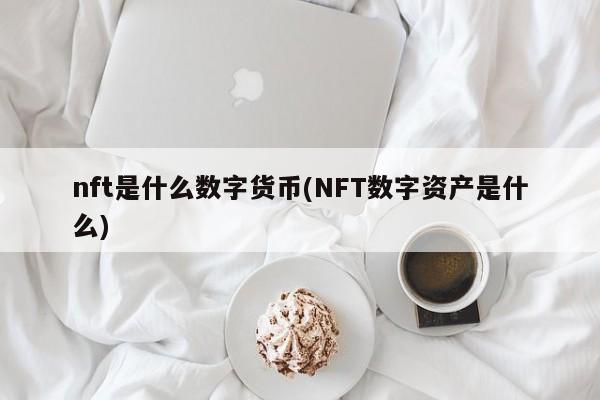 nft是什么数字货币(NFT数字资产是什么)