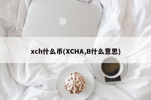 xch什么币(XCHA,B什么意思)